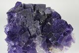 Purple, Cubic Fluorite Crystal Cluster - Berbes, Spain #183849-1